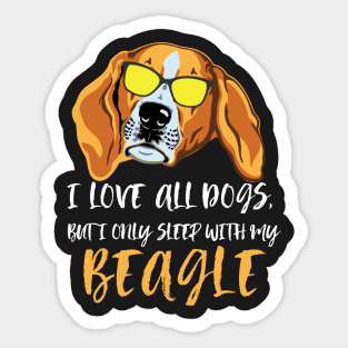 I love all dogs but I only sleep with my beagle Sticker